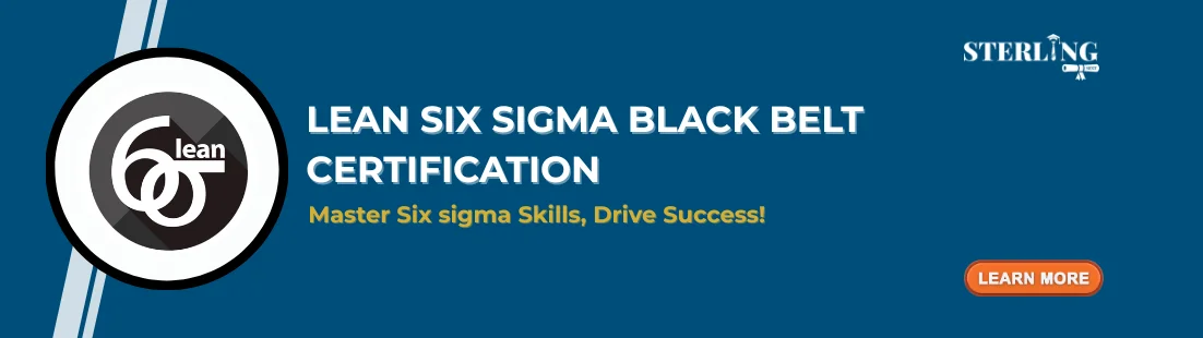 Lean Six Sigma Black Belt