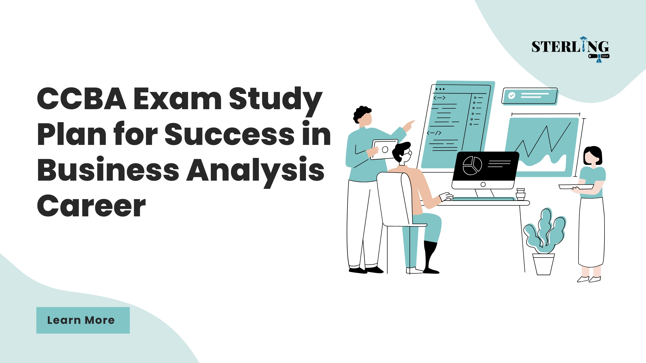 CCBA Exam Study Plan for Success in Business Analysis Career