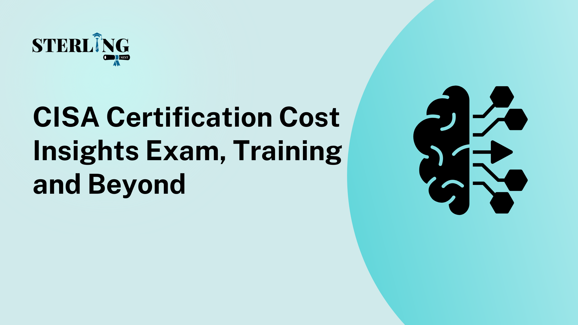 CISA Certification Cost Insights Exam, Training and Beyond