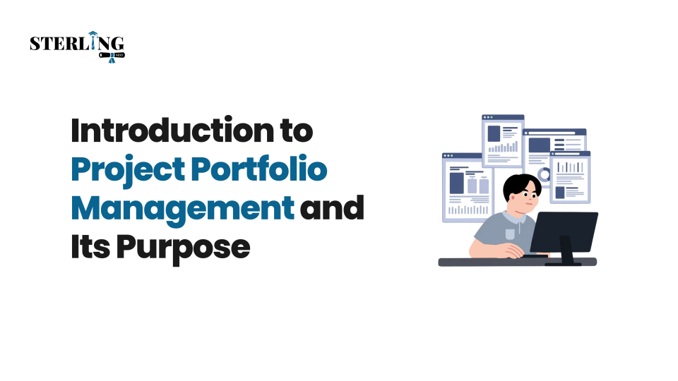 Introduction to Project Portfolio Management and Its Purpose