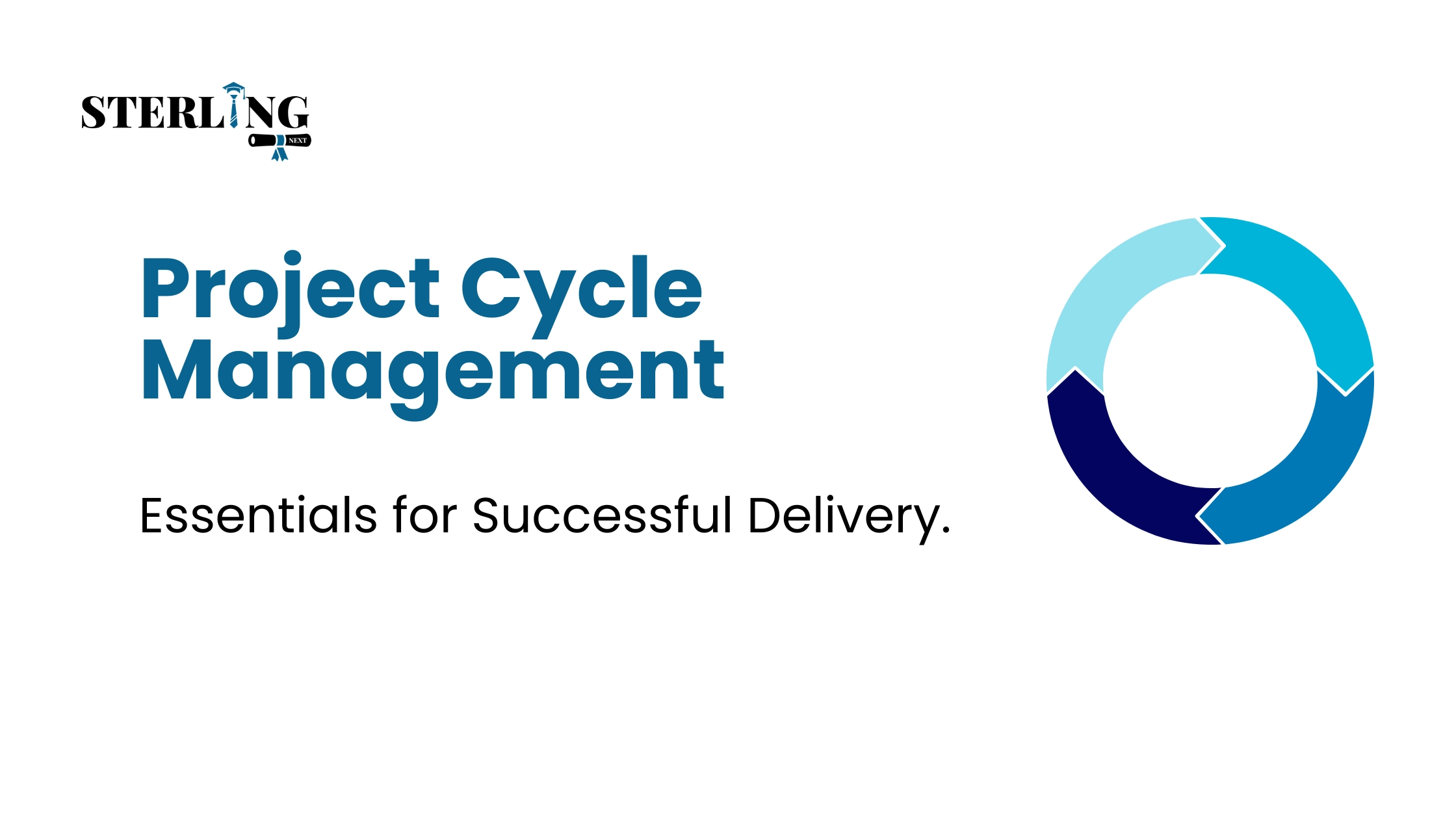 Project Cycle Management Essentials for Successful Delivery