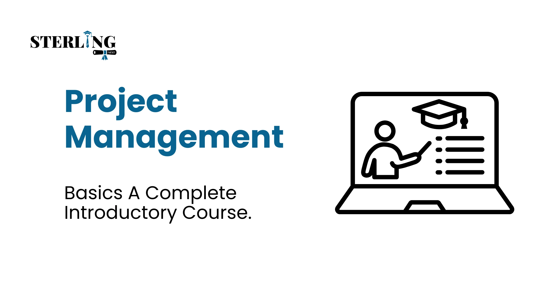 Project Management Basics A Complete Introductory Course