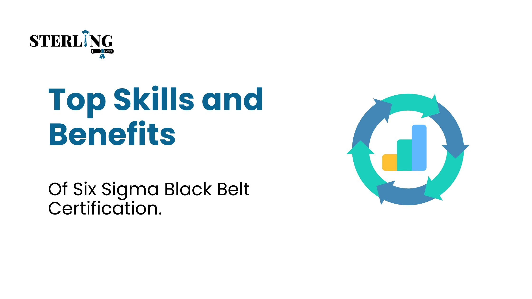 Top Skills and Benefits of Six Sigma Black Belt Certification