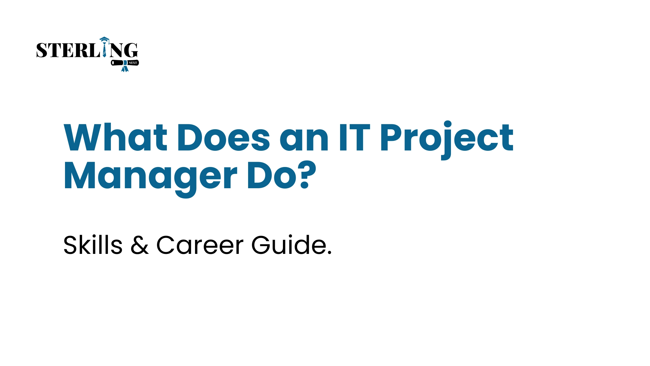 What Does an IT Project Manager Do? Skills & Career Guide