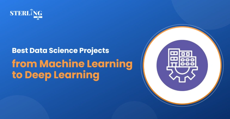 Best Data Science Projects from Machine Learning to Deep Learning