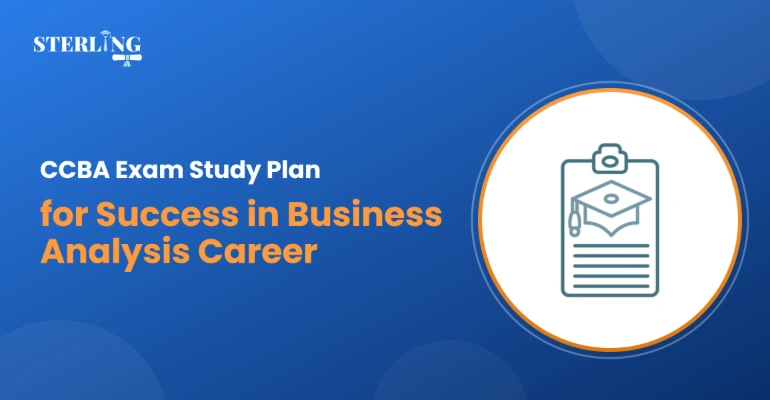 CCBA Exam Study Plan for Success in Business Analysis Career