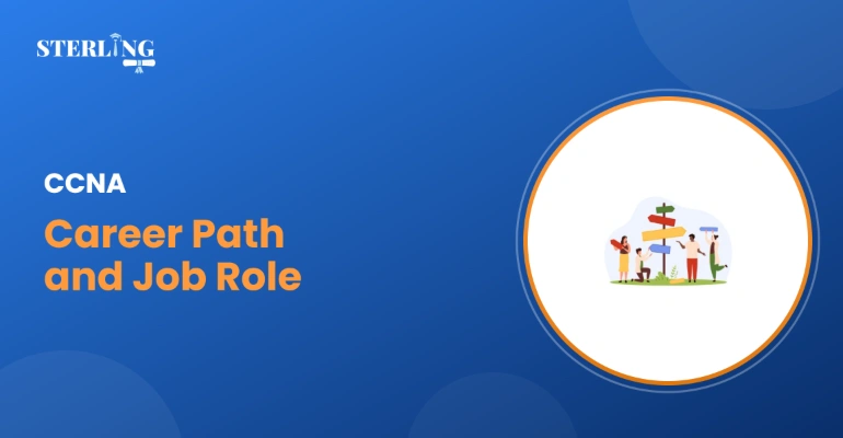 CCNA Career Path and Job Roles