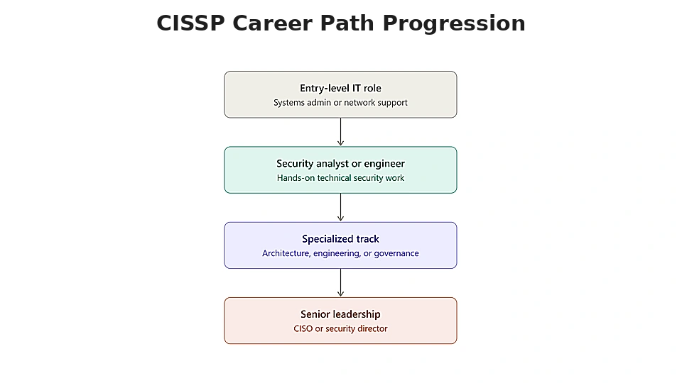 cissp-career-path-progression