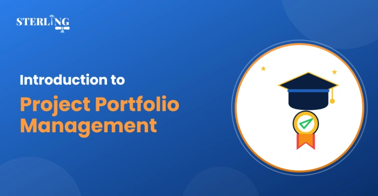 Introduction to Project Portfolio Management and Its Purpose
