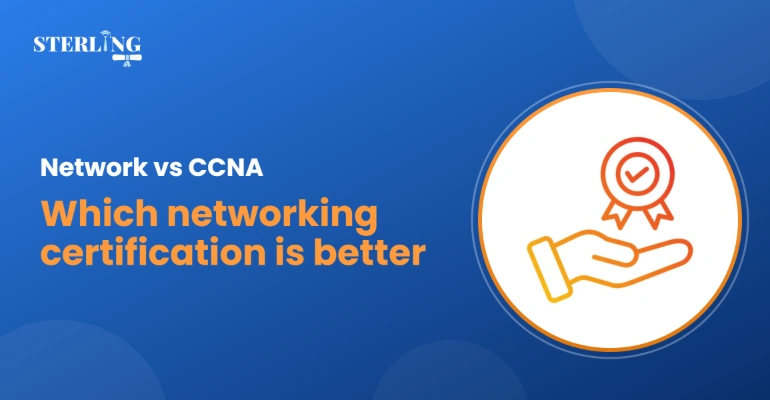 Network vs CCNA Which Networking Certification Is Better?