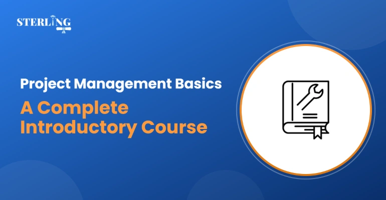 Project Management Basics A Complete Introductory Course