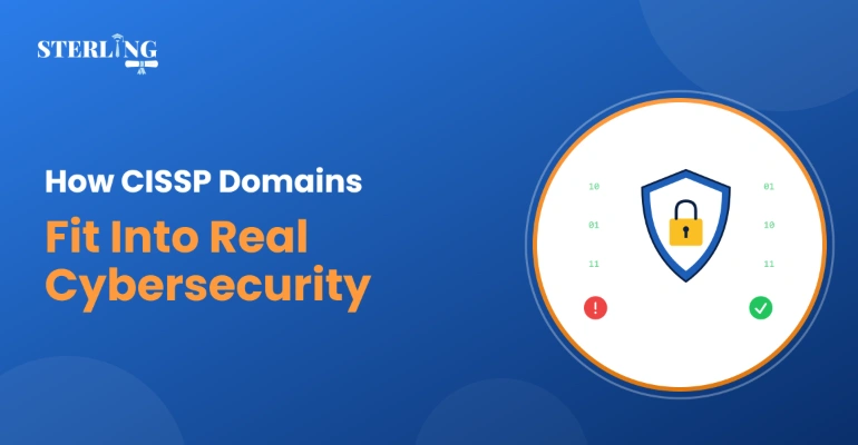 How CISSP Domains Fit Into Real Cybersecurity Job Paths