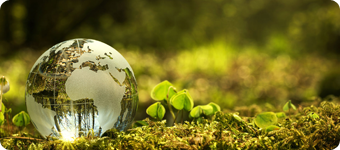 ISO 14001 Lead Implementer